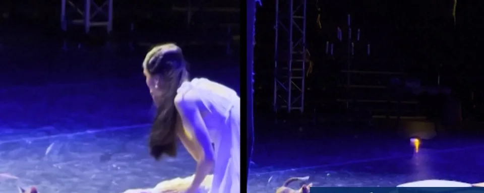 Cat Joins Ballet Stage During Romeo and Juliet Performance