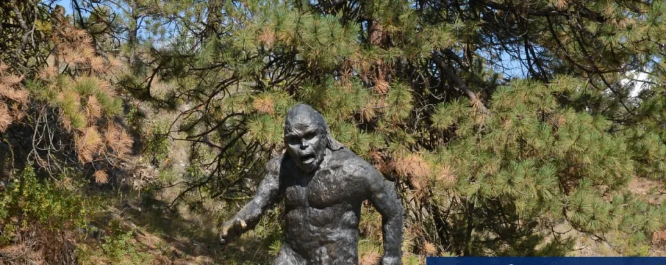 New Sasquatch Sightings Spark Old Debate in Ontario