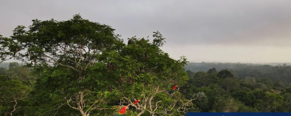 Understanding Nature: Ecosystems Don't 'Malfunction'